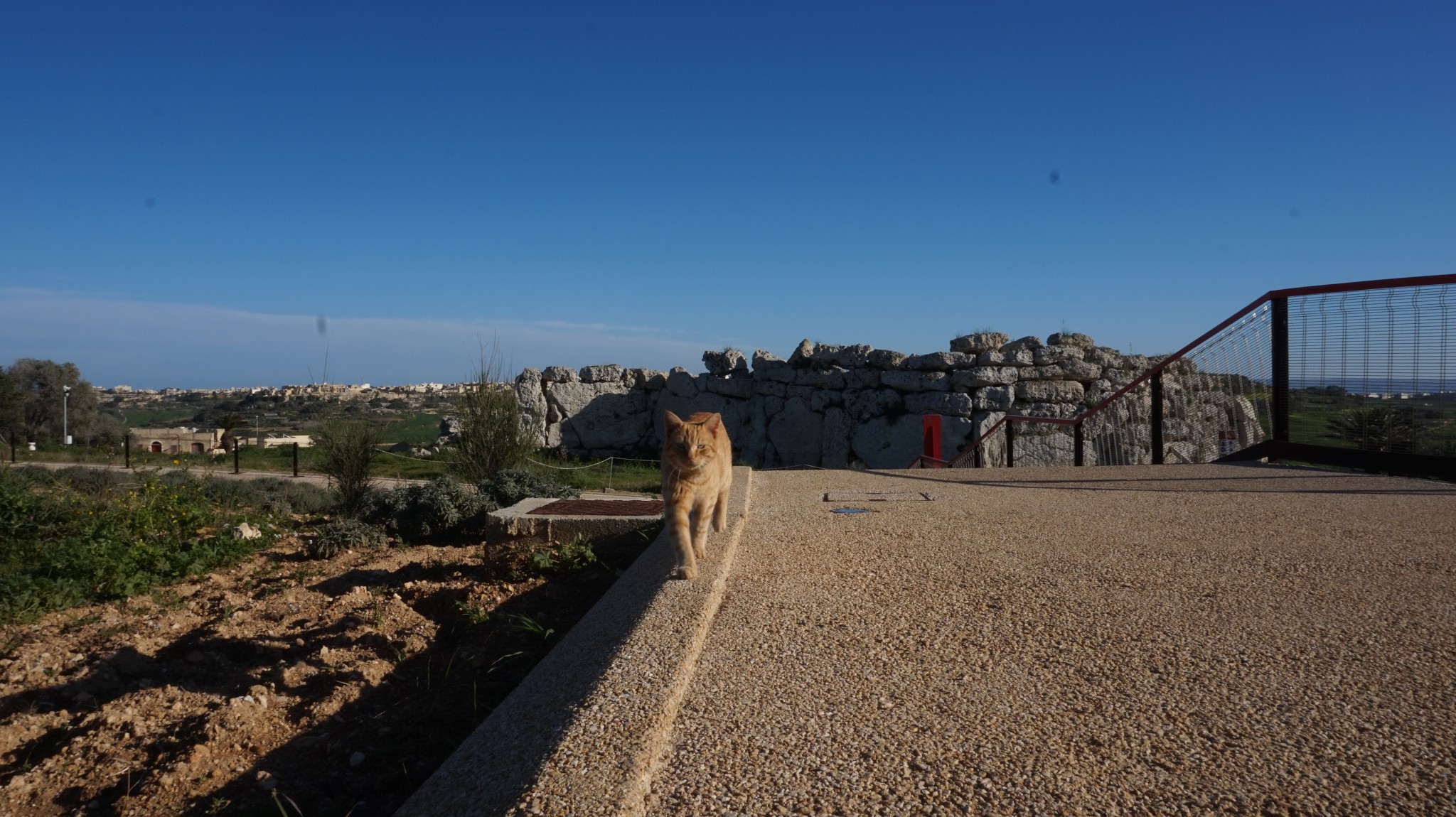 人性的遗迹一初识马耳他,马耳他旅游攻略
