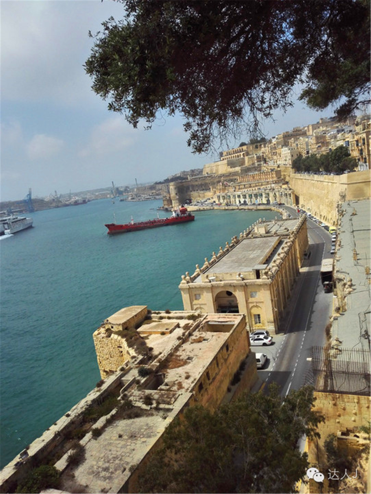 从一只猫的表情说起，观马耳他城市风景,马耳他