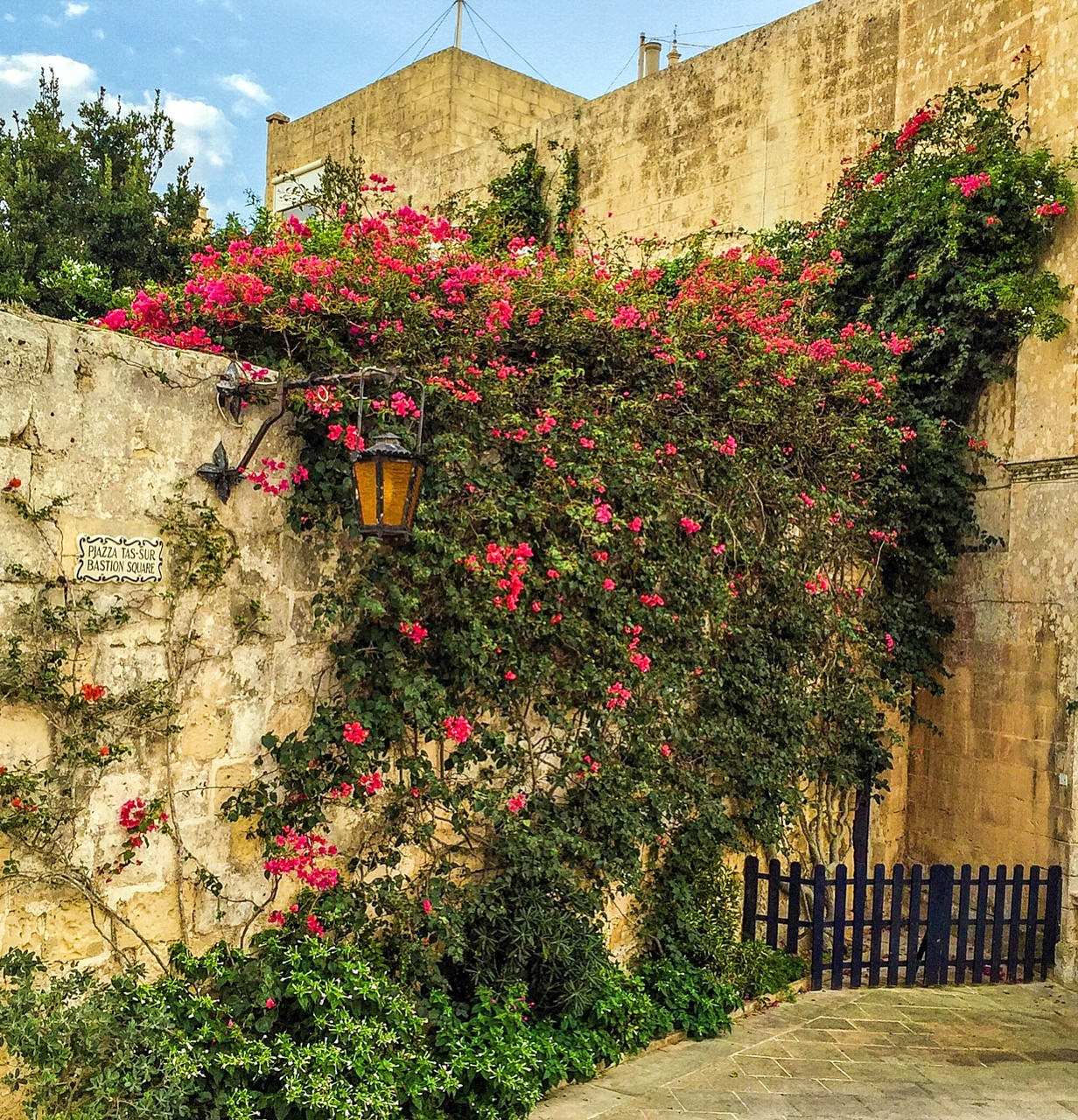 “地中海の心脏”(含第三次到罗马的怀旧之行
