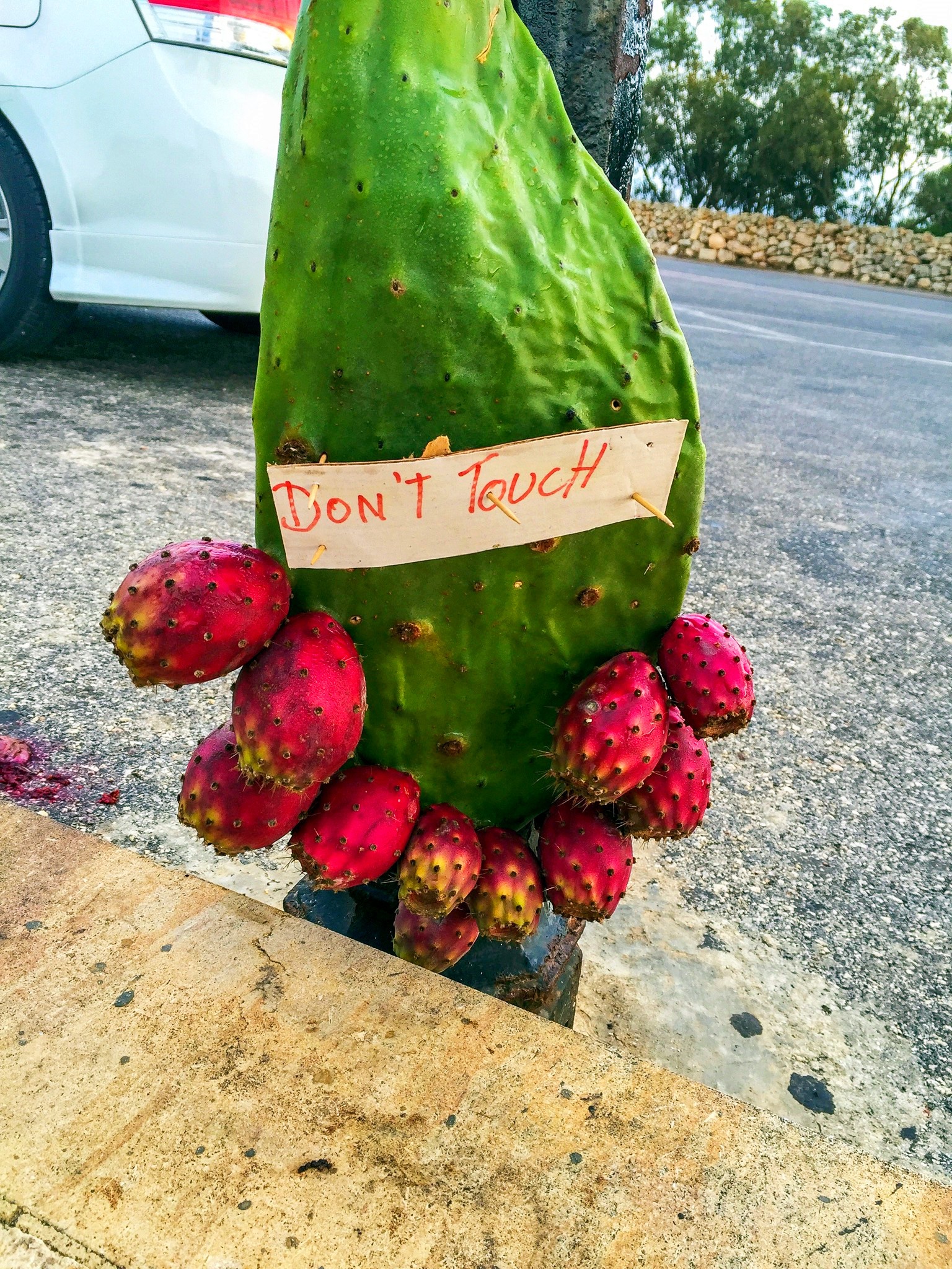 “地中海の心脏”(含第三次到罗马的怀旧之行