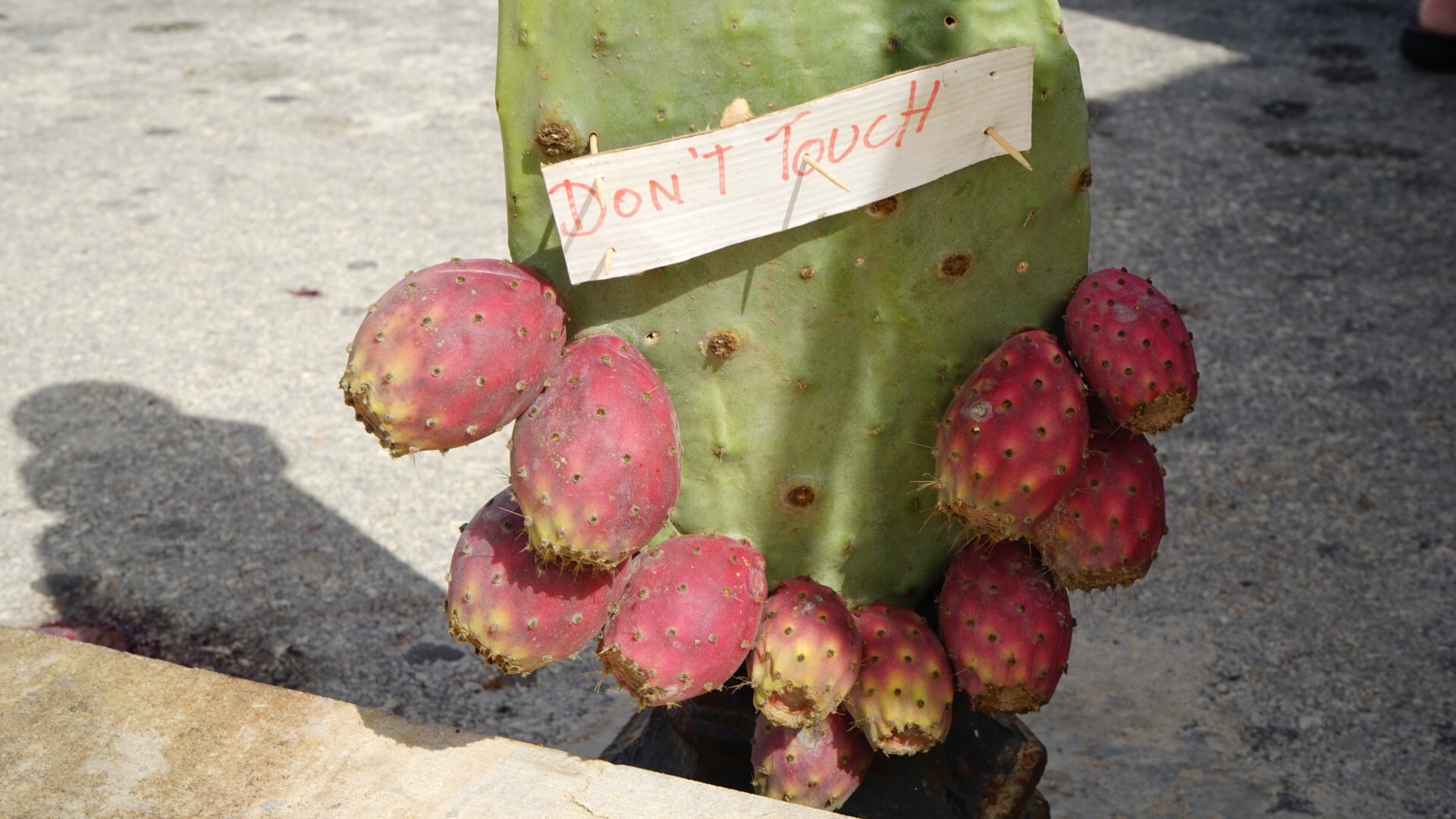“地中海的心脏”马耳他 2016年10月,马耳他自助游