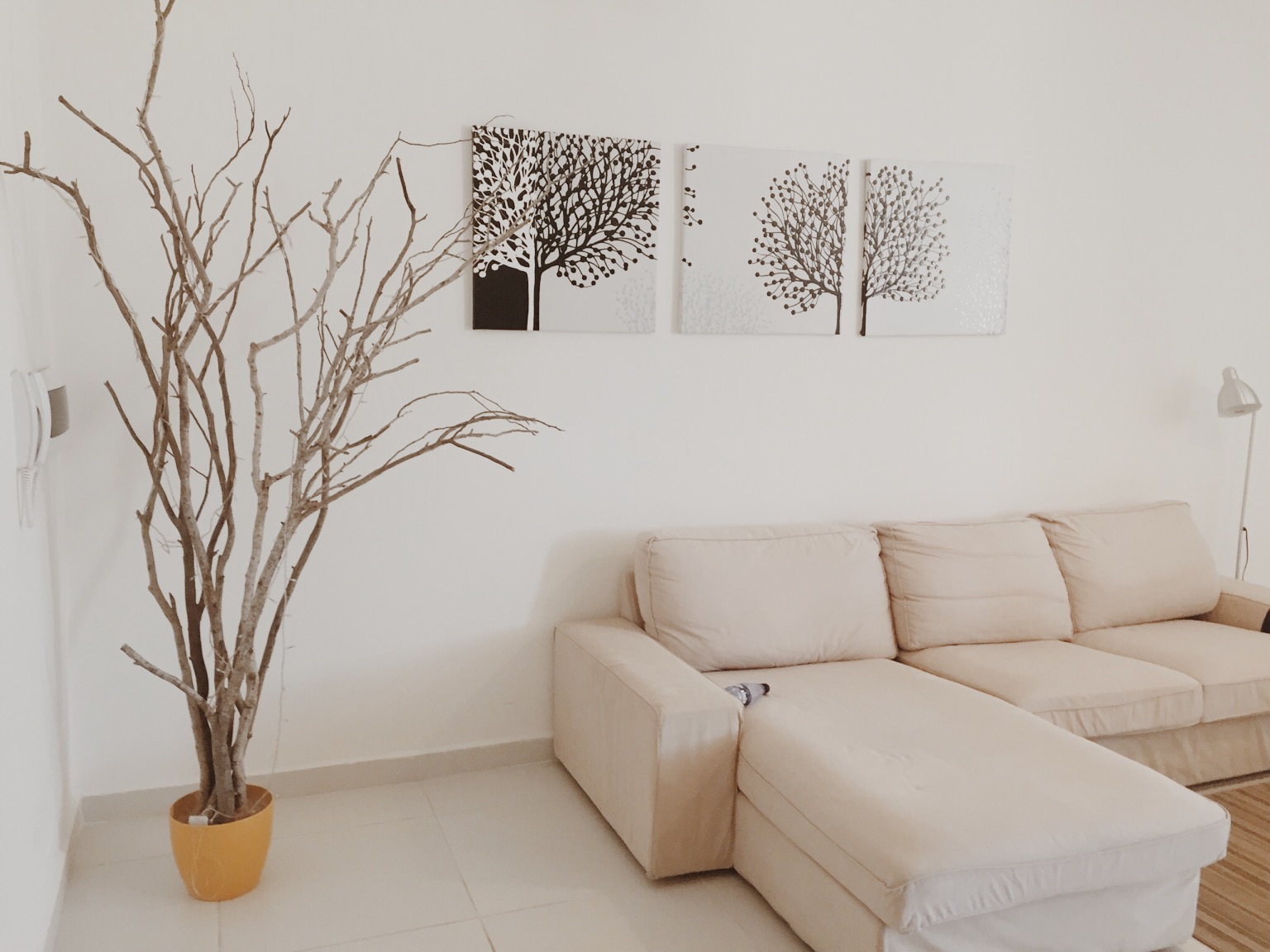 “地中海の心脏”(含第三次到罗马的怀旧之行