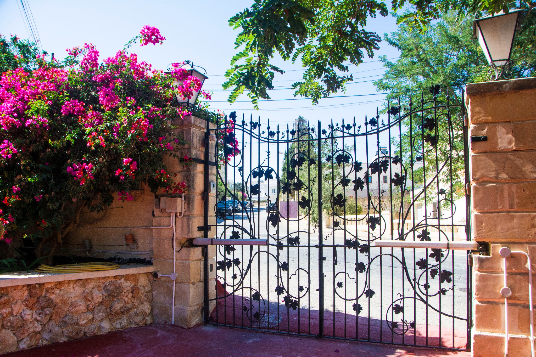 留荷女文青的欧游散记｜情迷马耳他（上）,马耳