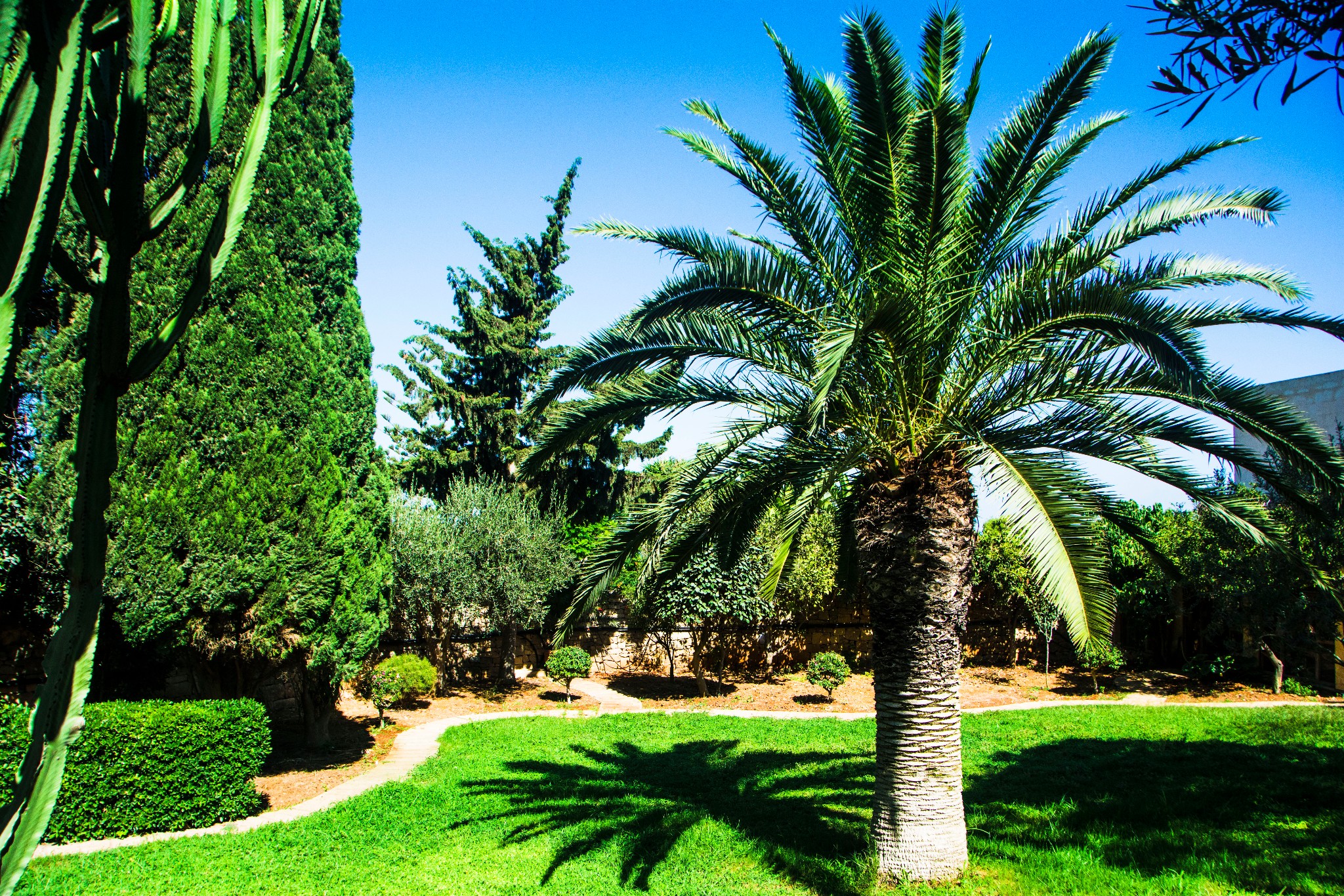 留荷女文青的欧游散记｜情迷马耳他（上）,马耳