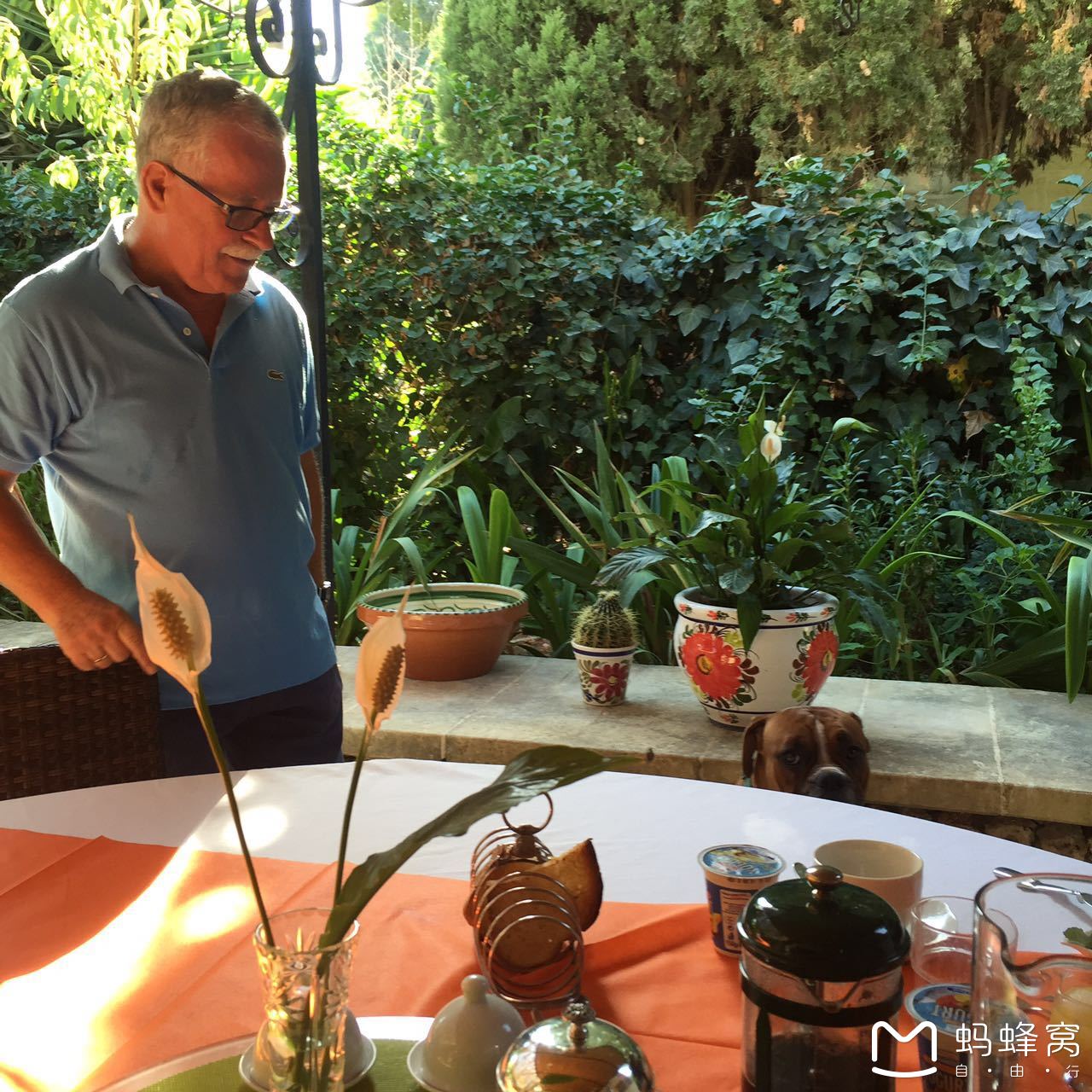 留荷女文青的欧游散记｜情迷马耳他（上）,马耳