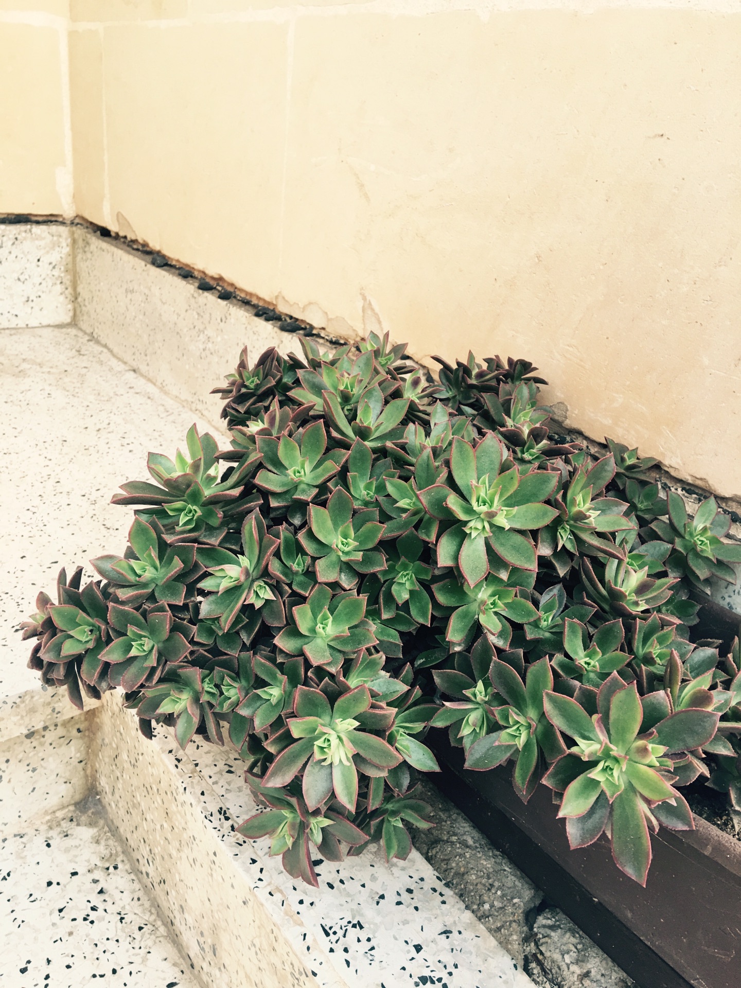 国庆马耳他,马耳他自助游攻略