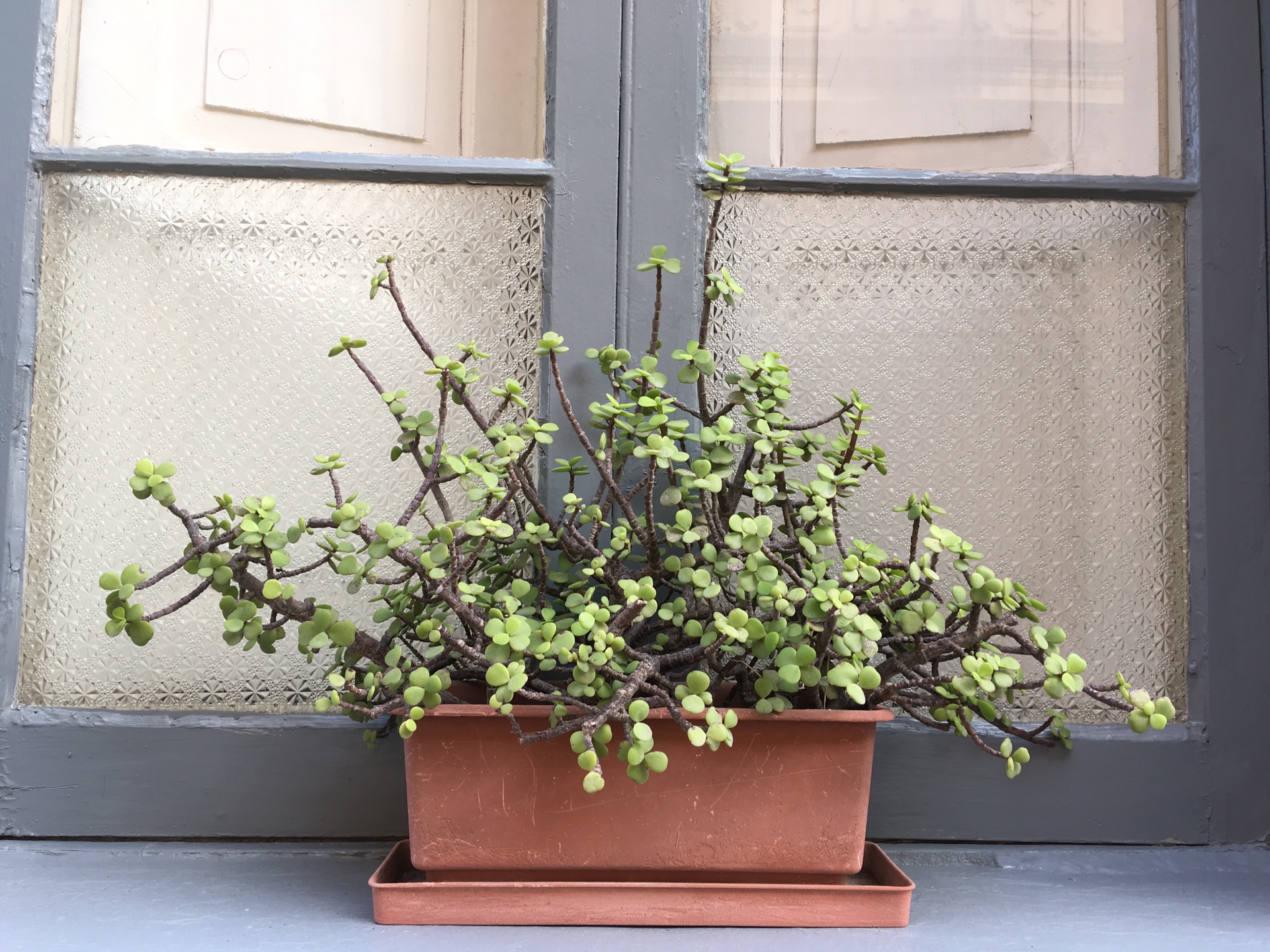 国庆马耳他,马耳他自助游攻略