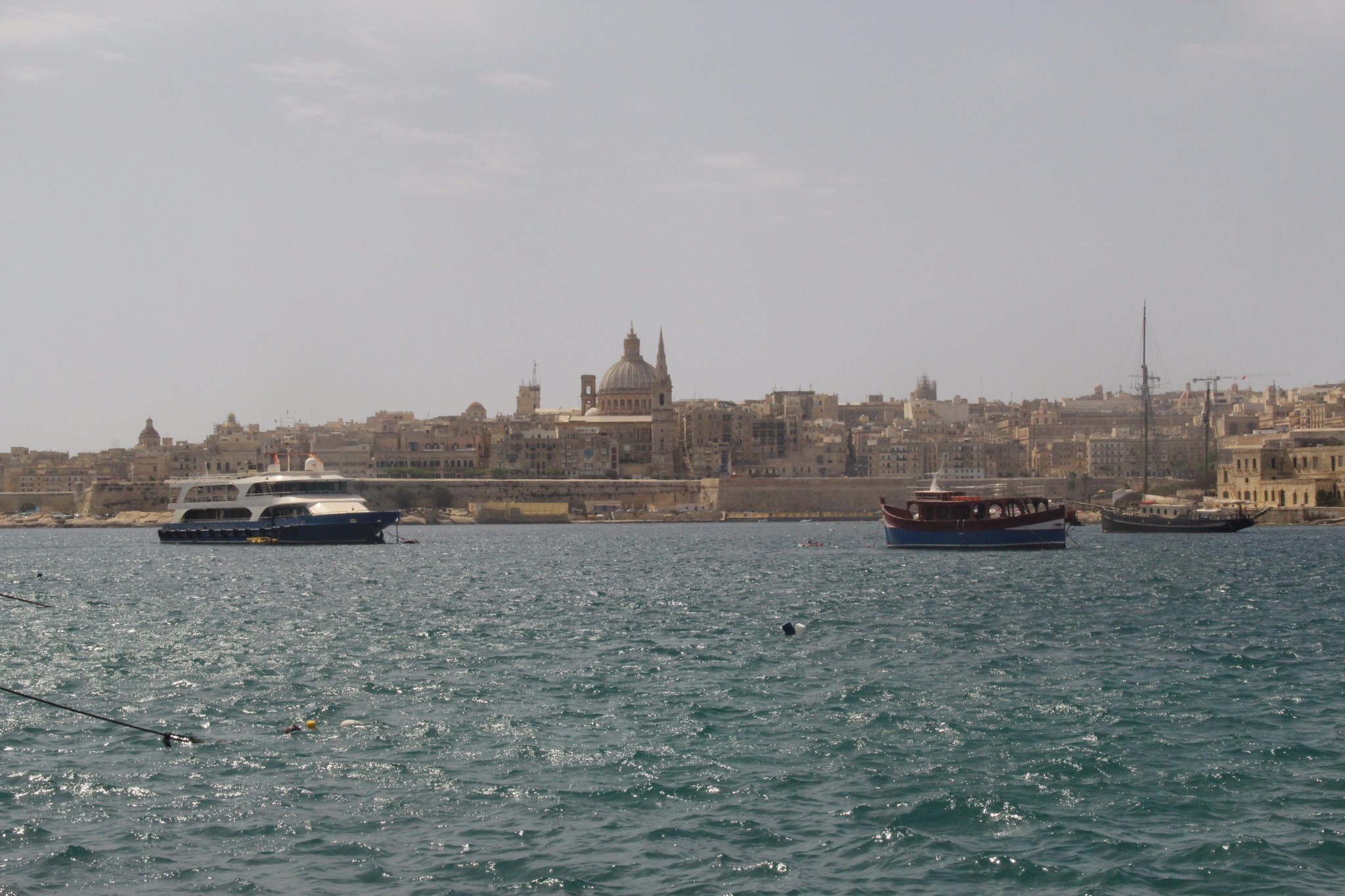 穿梭在古城墙间的壁虎和肆虐于阳光下的仙人掌