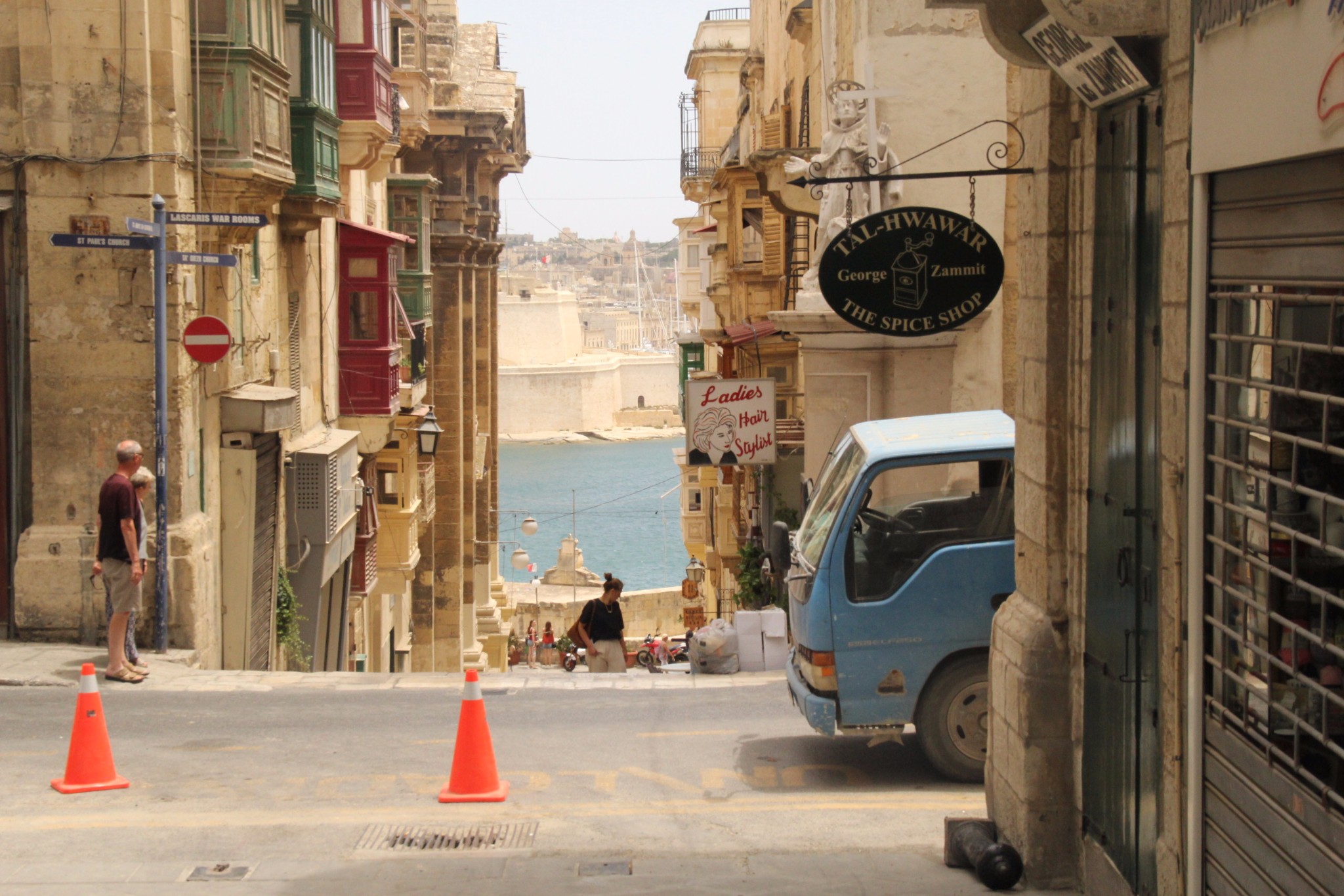 穿梭在古城墙间的壁虎和肆虐于阳光下的仙人掌