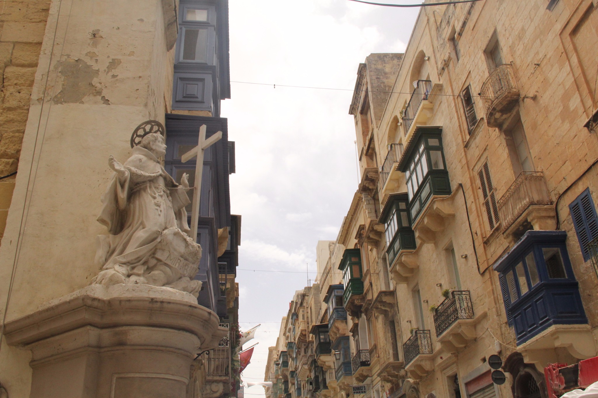 穿梭在古城墙间的壁虎和肆虐于阳光下的仙人掌