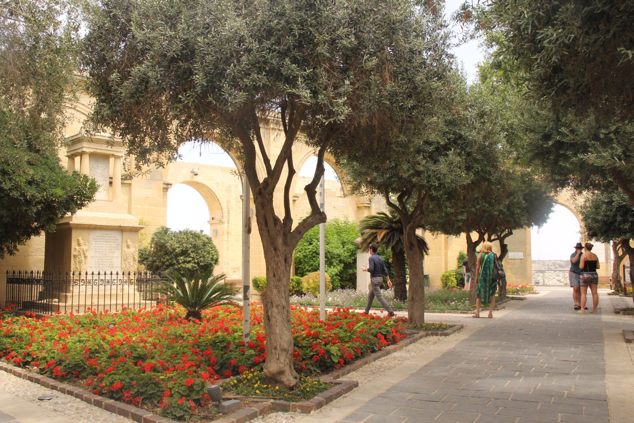 穿梭在古城墙间的壁虎和肆虐于阳光下的仙人掌