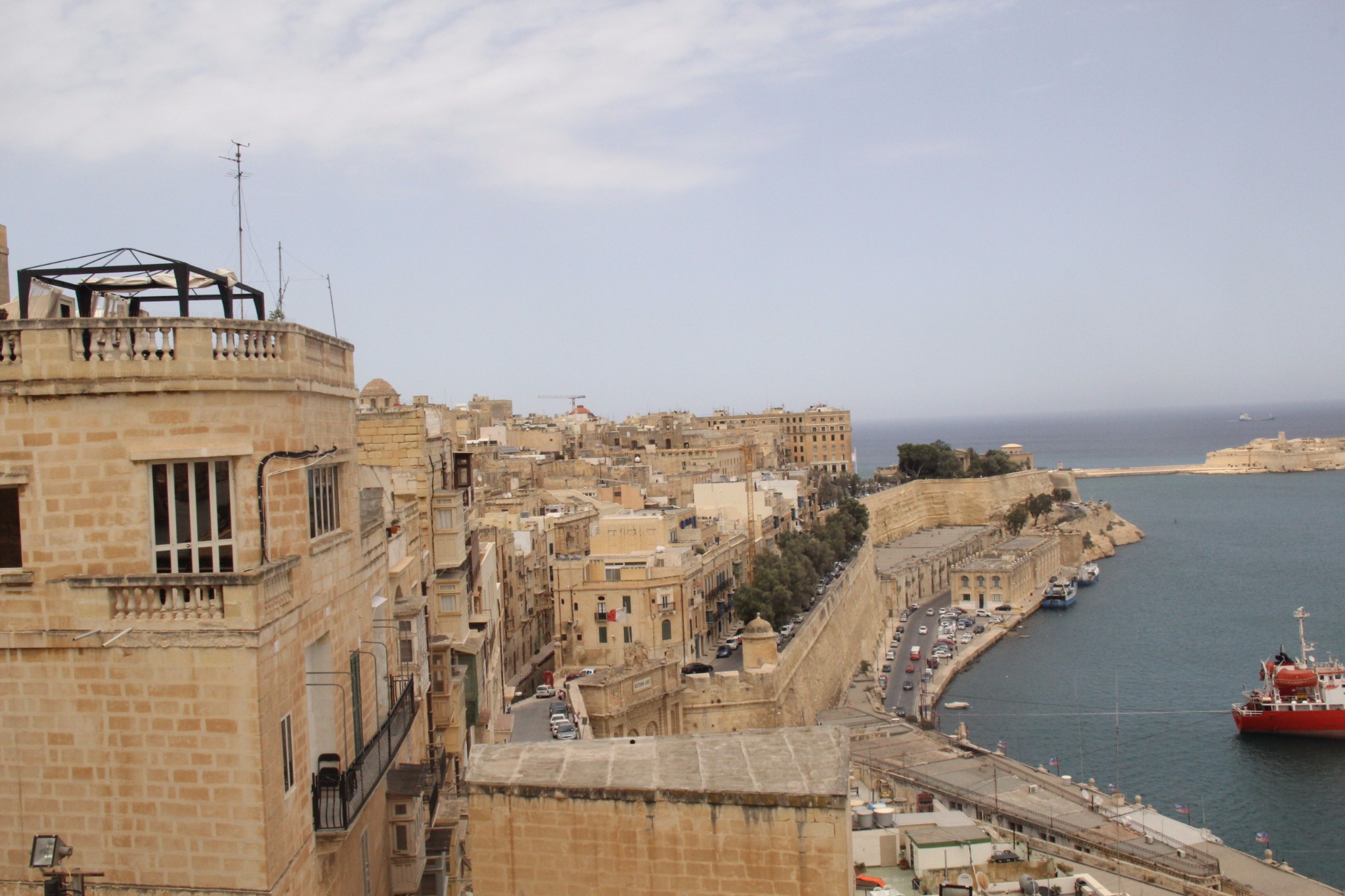 穿梭在古城墙间的壁虎和肆虐于阳光下的仙人掌