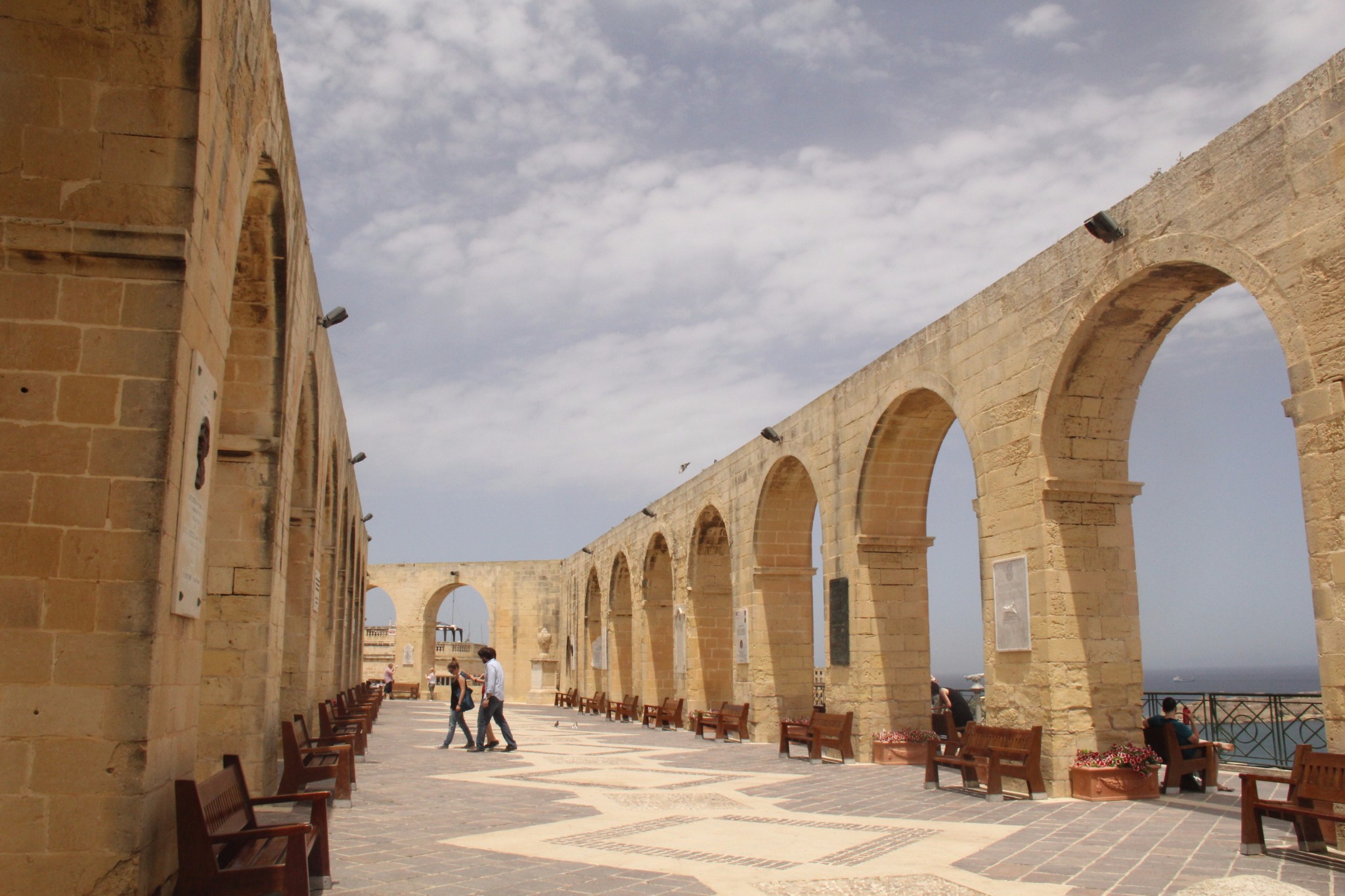 穿梭在古城墙间的壁虎和肆虐于阳光下的仙人掌