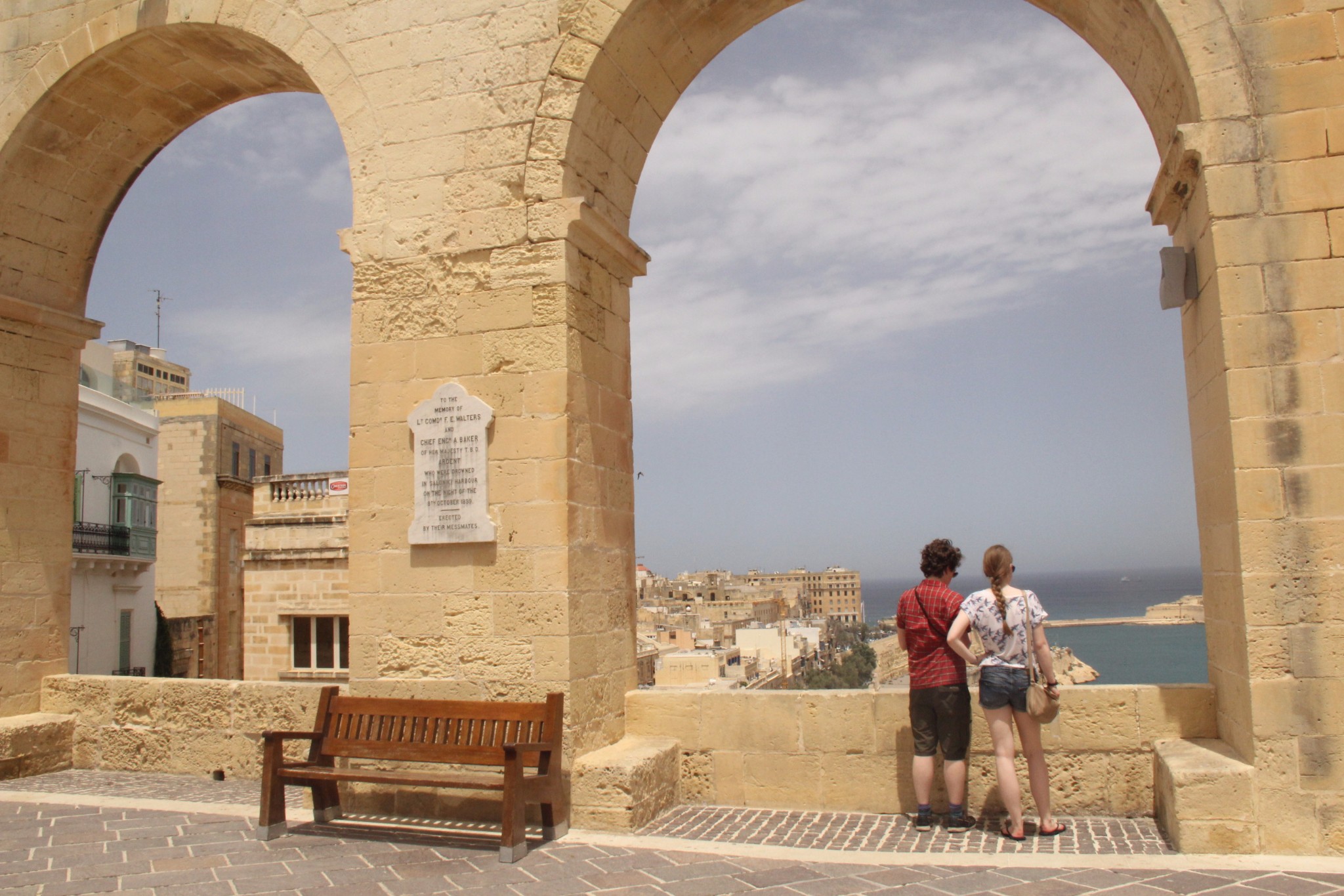 穿梭在古城墙间的壁虎和肆虐于阳光下的仙人掌