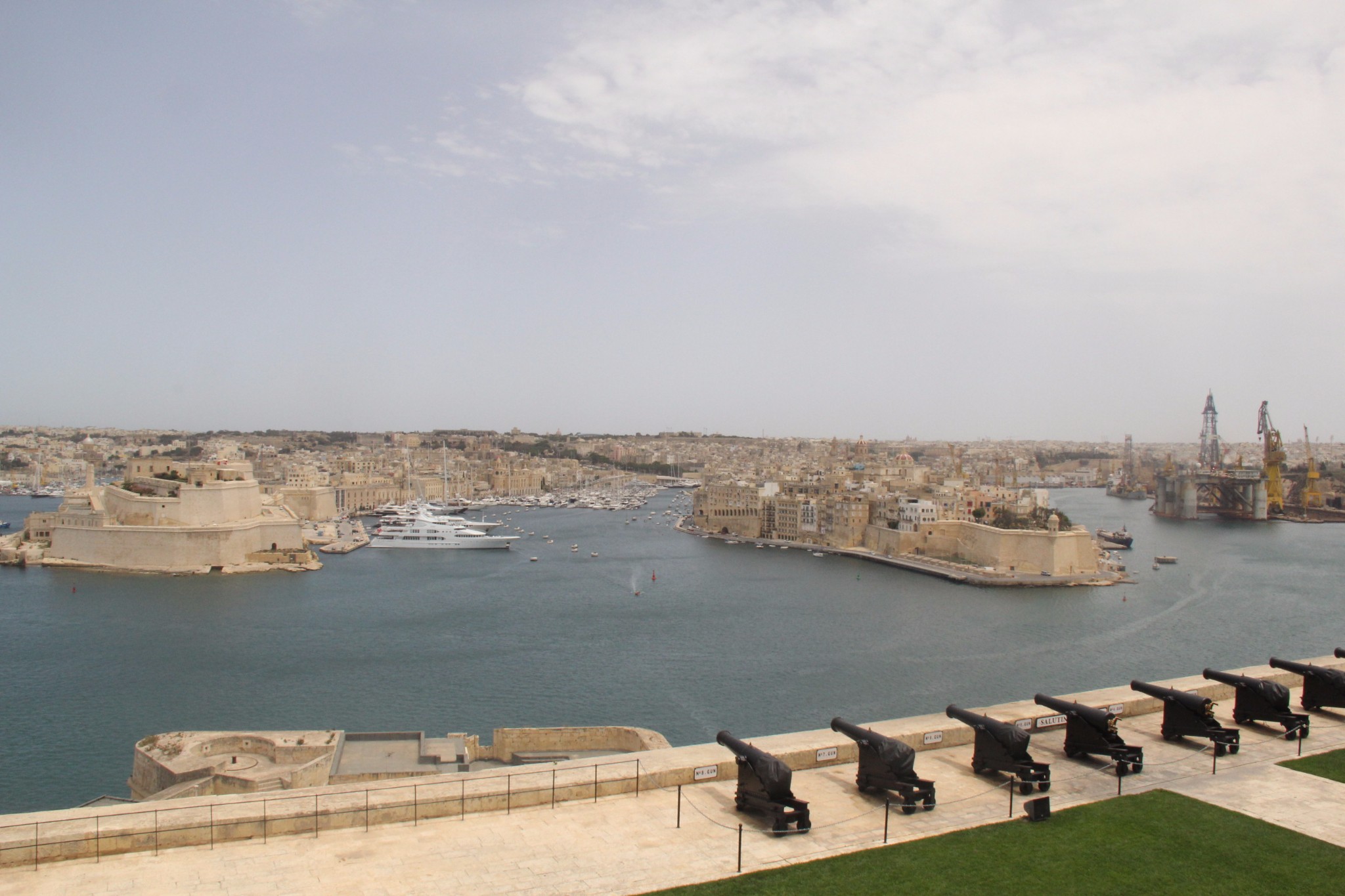 穿梭在古城墙间的壁虎和肆虐于阳光下的仙人掌