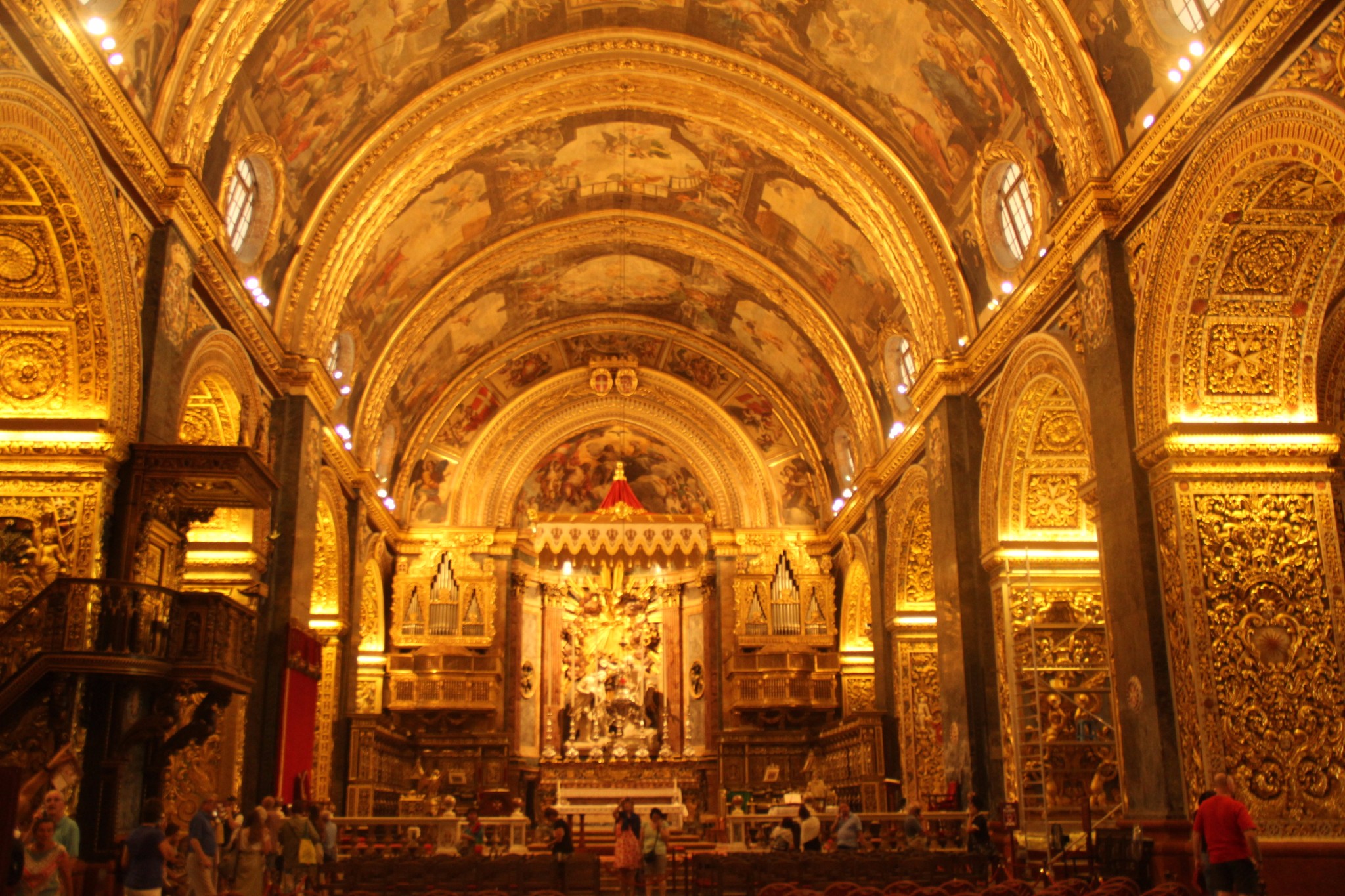 穿梭在古城墙间的壁虎和肆虐于阳光下的仙人掌