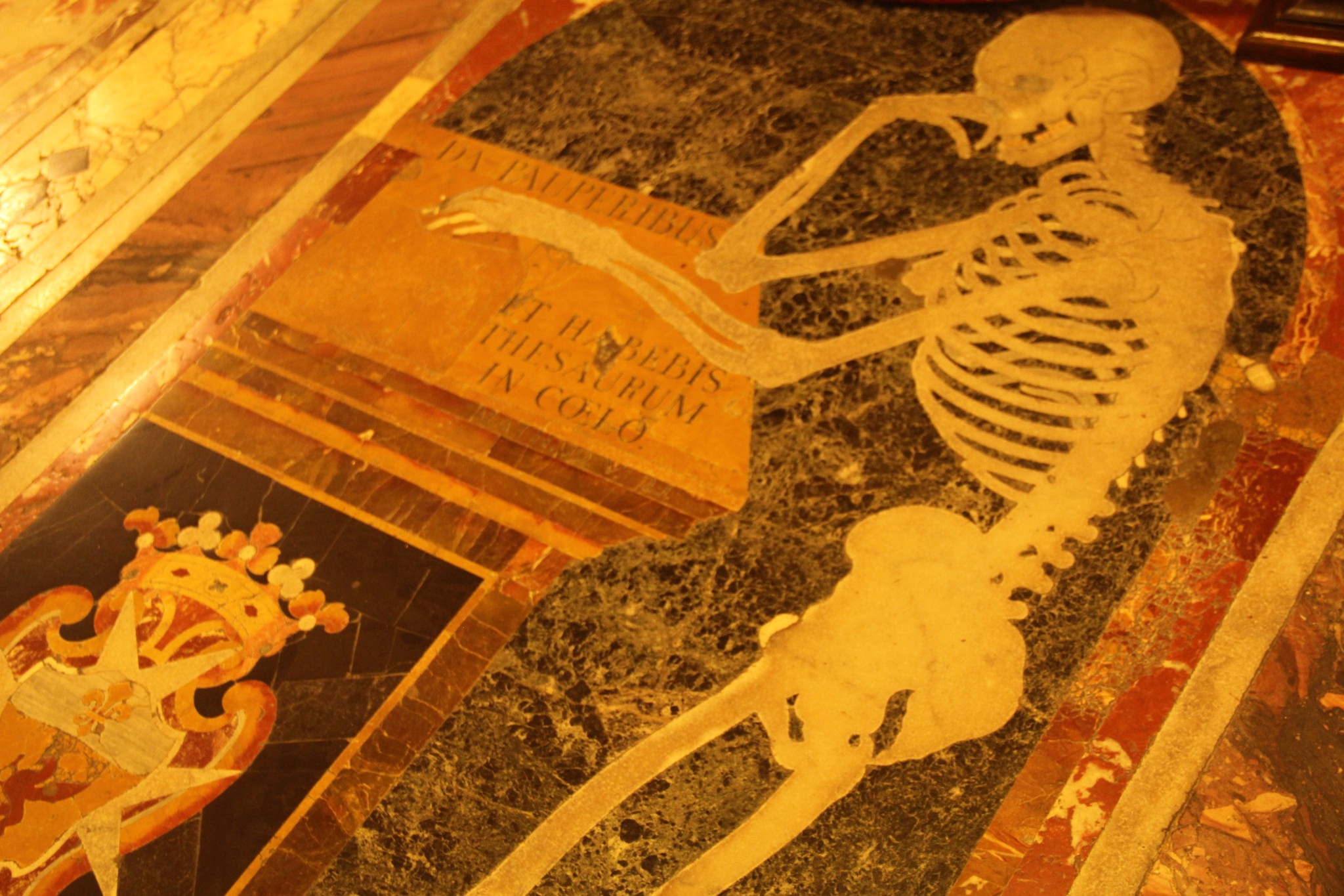 穿梭在古城墙间的壁虎和肆虐于阳光下的仙人掌