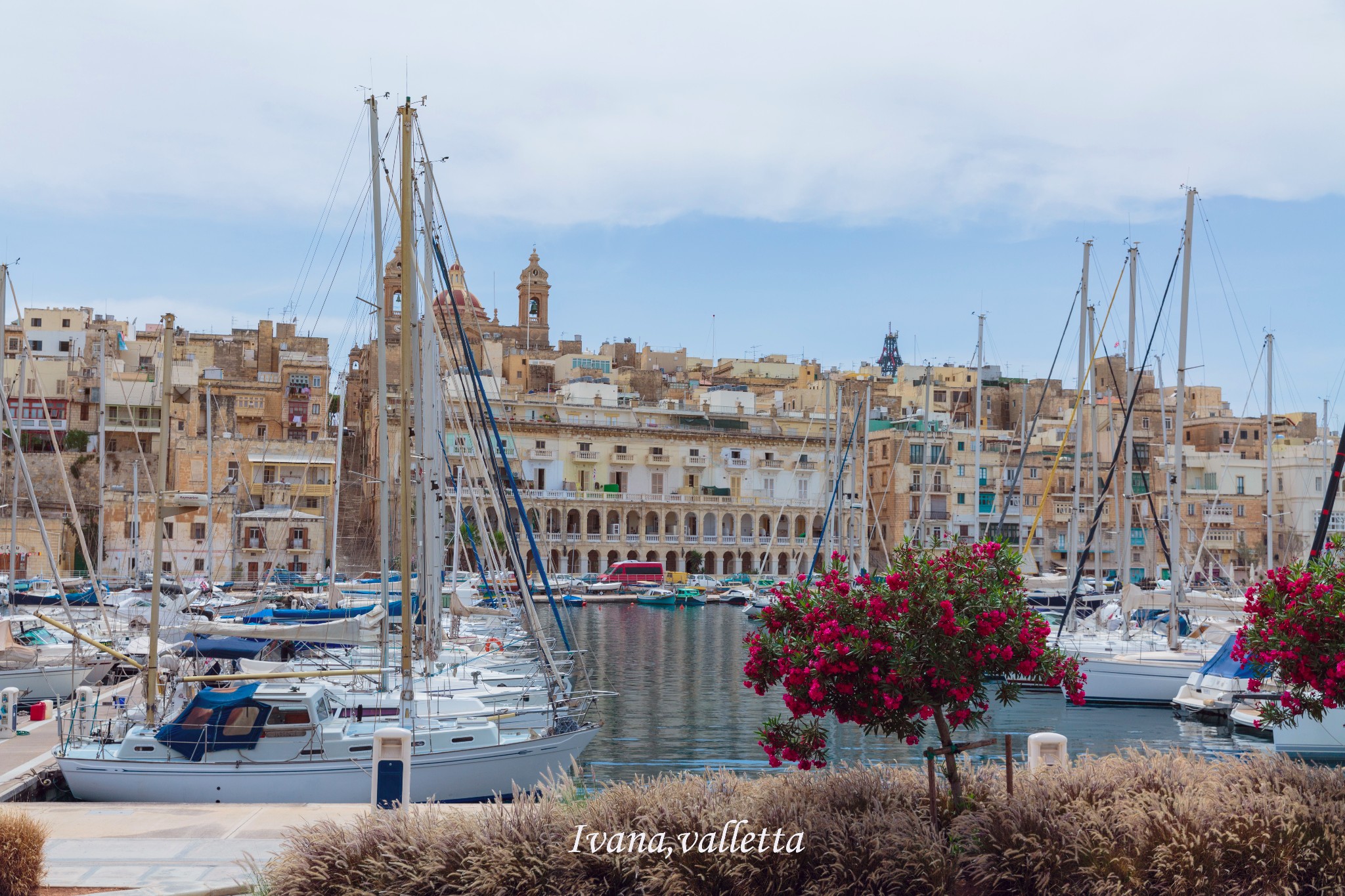 马耳他,骑士团的蓝色游戏;西西里,黑手党的