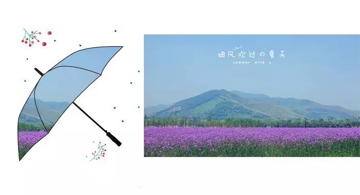 微信图片_20170925154843.jpg