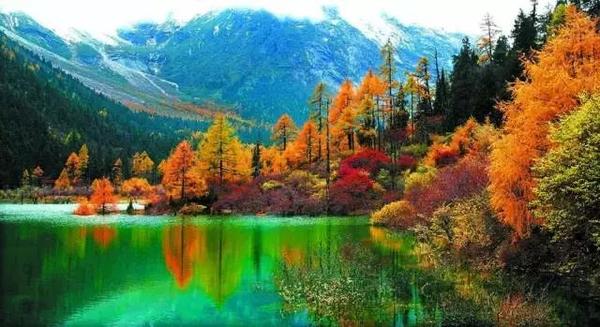  四川赏枫叶最全指南