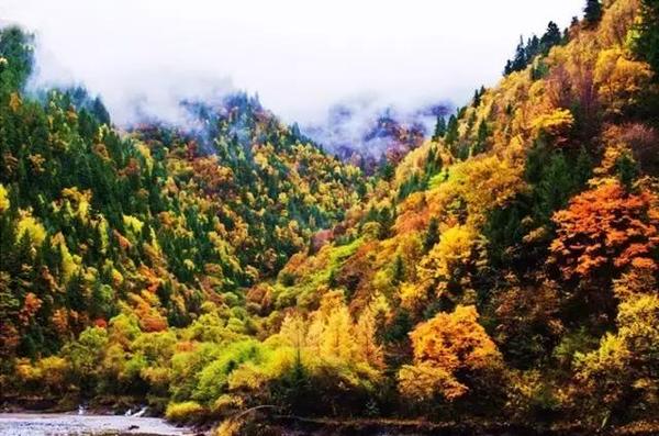 四川赏枫叶最全指南