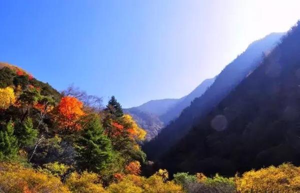  四川赏枫叶最全指南