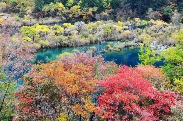  四川赏枫叶最全指南