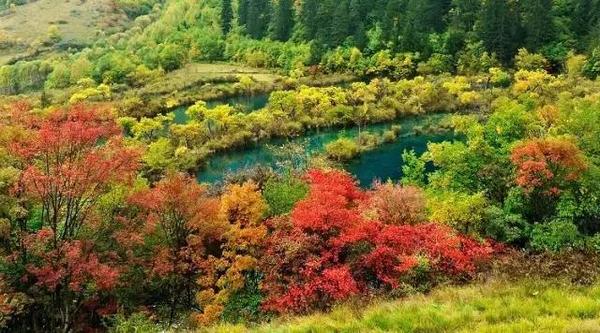  四川赏枫叶最全指南