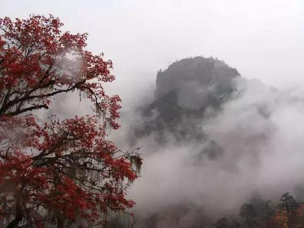  四川赏枫叶最全指南