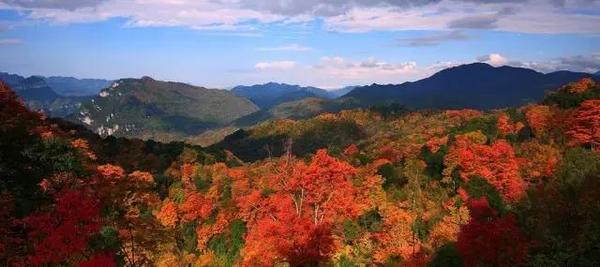  四川赏枫叶最全指南