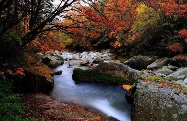  四川赏枫叶最全指南