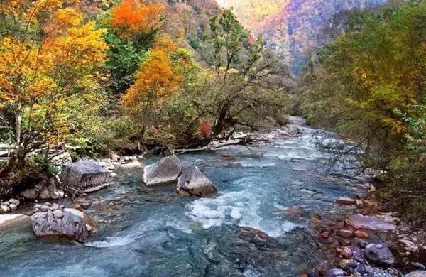  四川赏枫叶最全指南