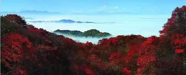  四川赏枫叶最全指南