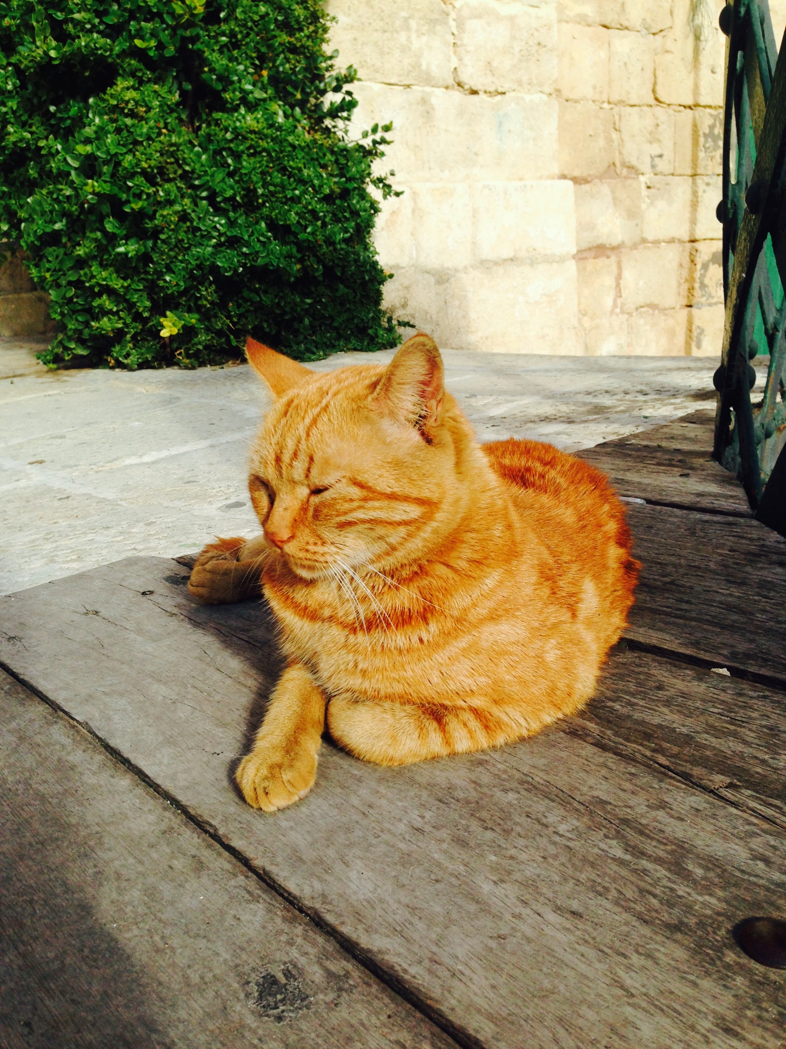 用尽全世界的土黄 地中海小岛马耳他,马耳他自助