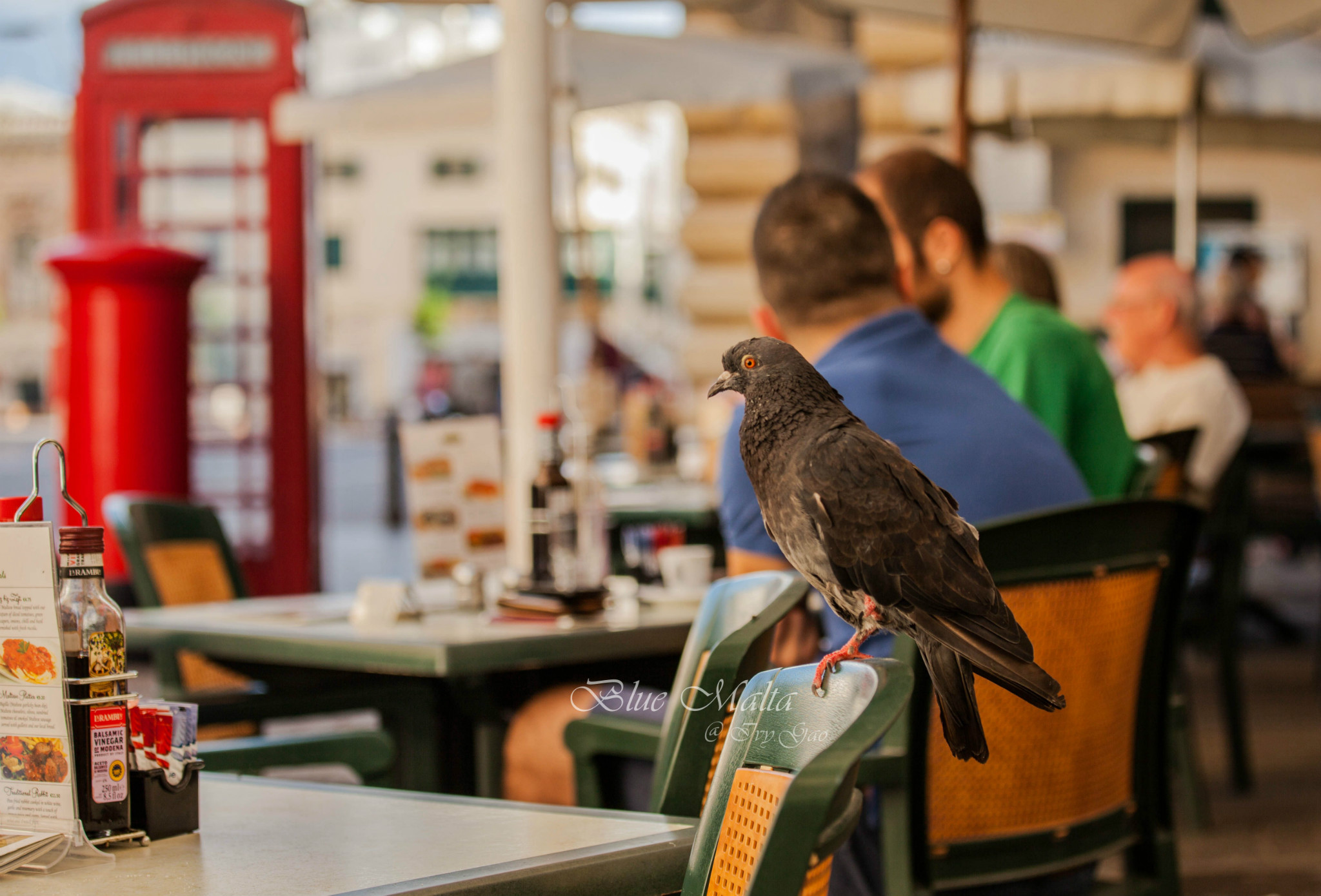 2015国庆马耳他散游记,马耳他自助游攻略