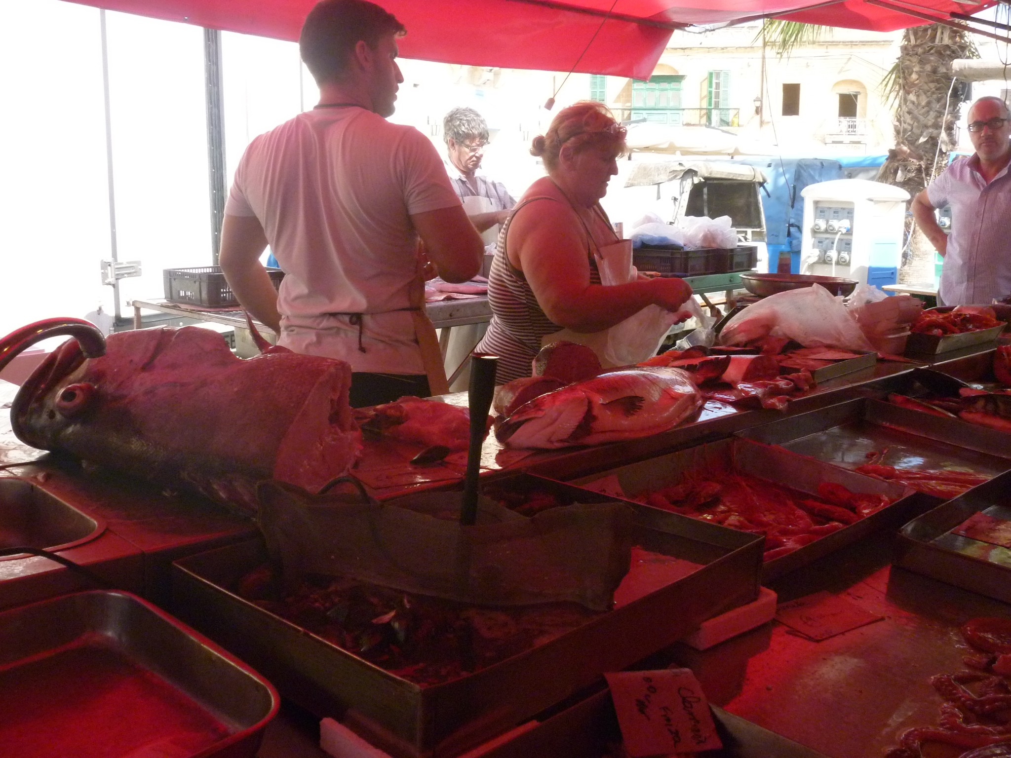 2015.9.18马耳他,马耳他自助游攻略