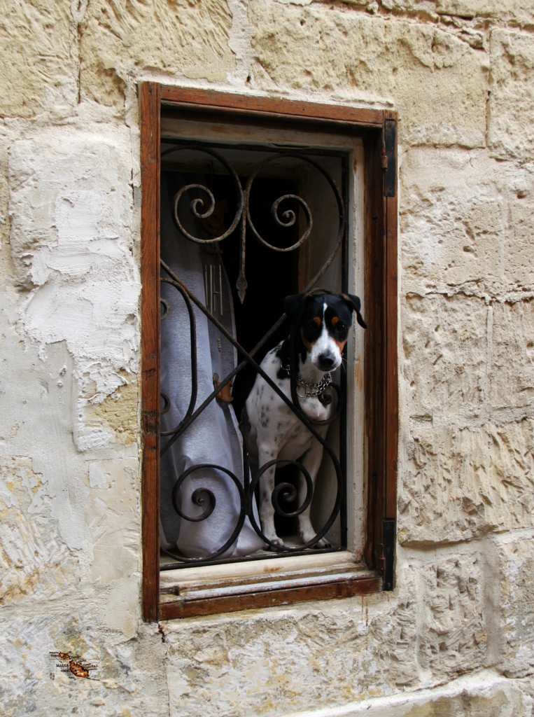 逍遥【马耳他Malta】,马耳他旅游攻略