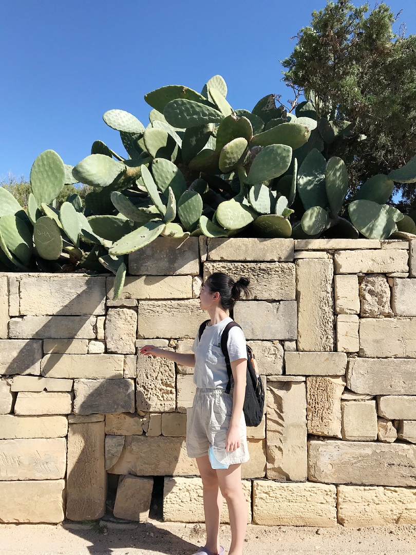 马耳他的碧海蓝天,马耳他自助游攻略