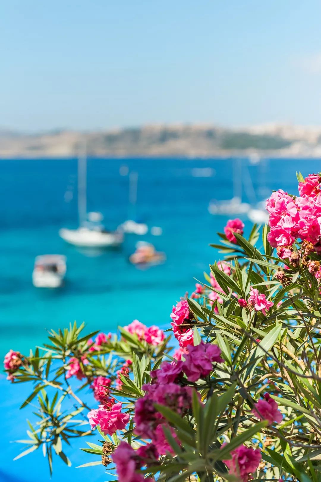 神仙岛国马耳他，犹如人间天堂,马耳他旅游攻略