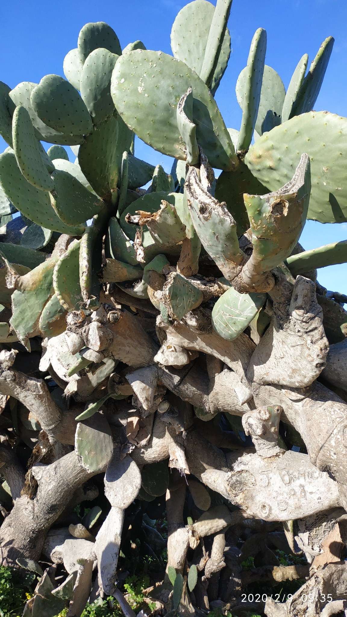 欧洲行‖畅享地中海的暖风