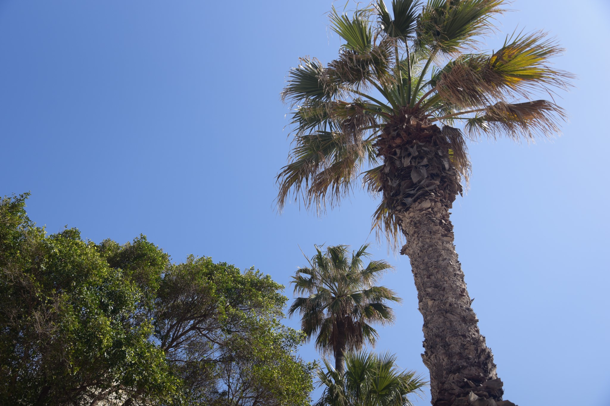 马耳他：二刷gozo岛 故地重游 尽情撒野,马耳他旅