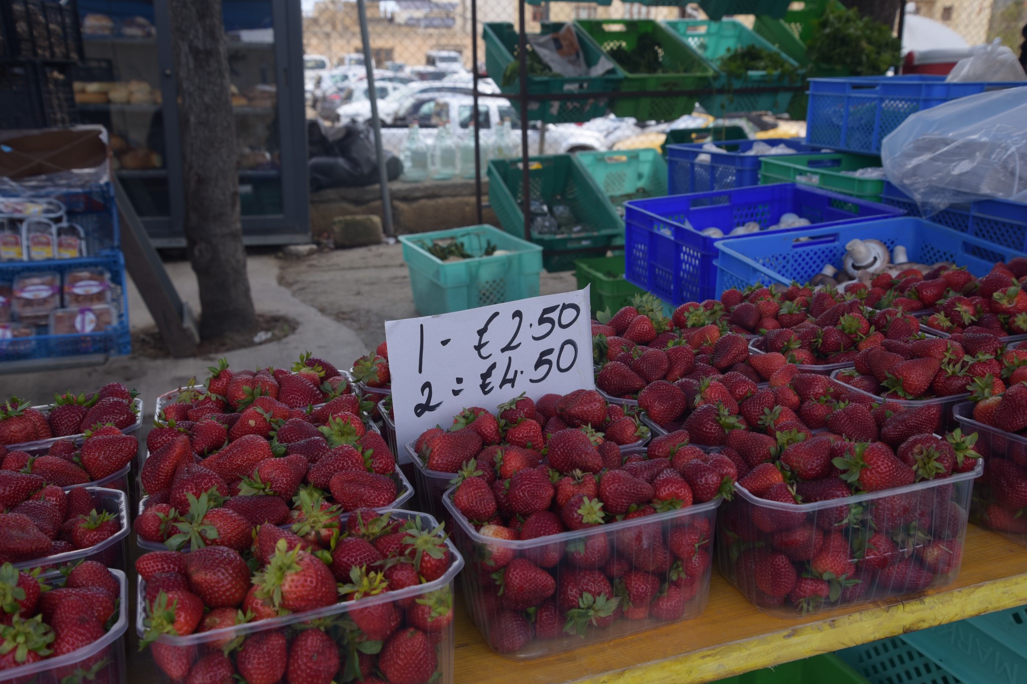 马耳他：二刷gozo岛 故地重游 尽情撒野,马耳他旅