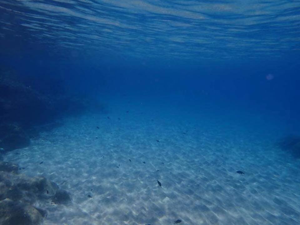 为了遇见更好的明天!Let's go!,马耳他自助游攻