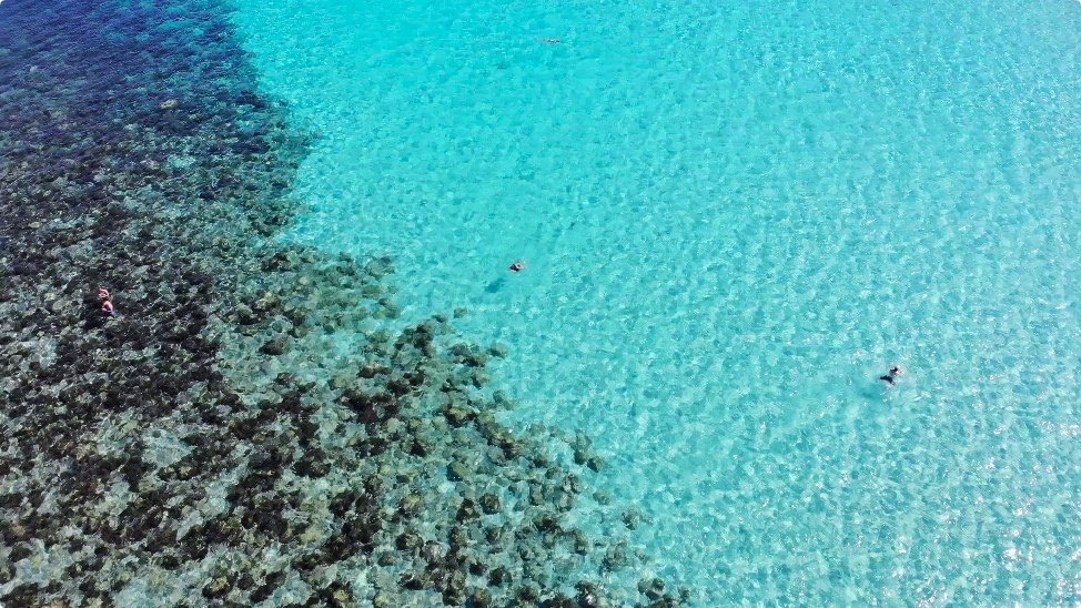 马耳他:你看到的我是蓝色的,马耳他旅游攻略