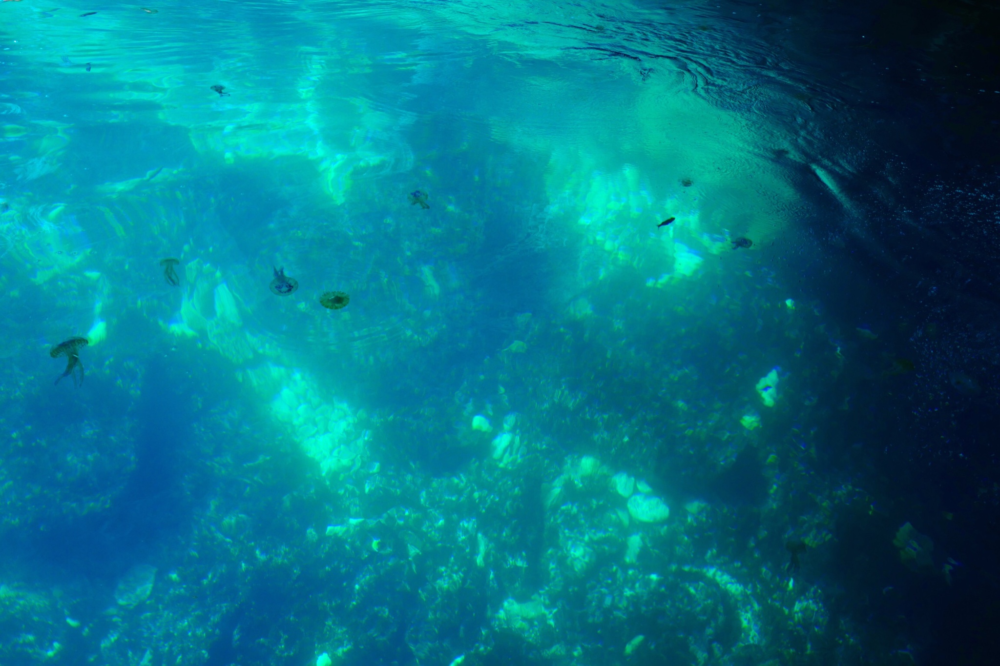 马耳他公共交通一周自由行,马耳他旅游攻略