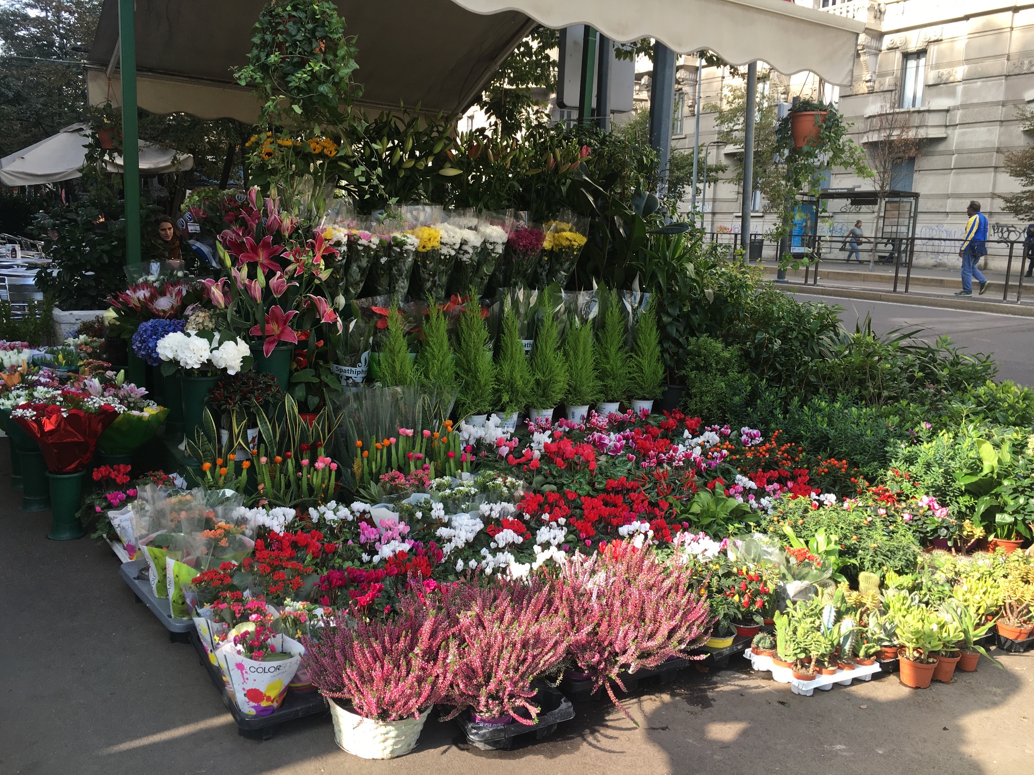 意大利马耳他13天蜜月之旅,马耳他自助游攻略