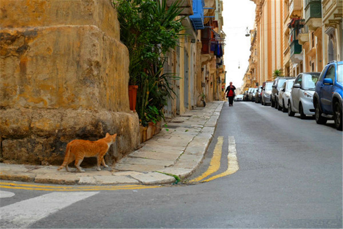 马耳他的美,堪比意大利、希腊,马耳他自助游攻