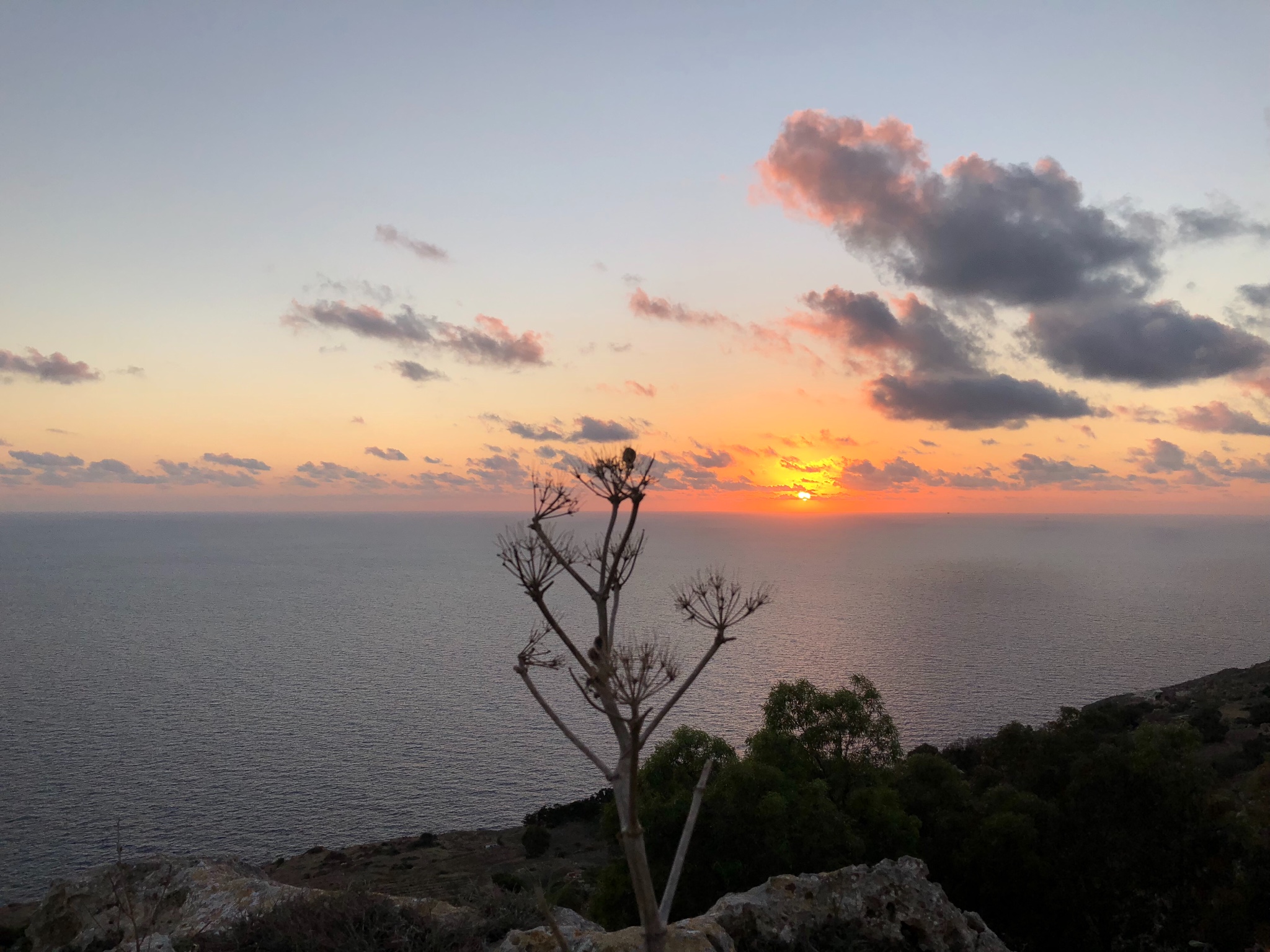 岛国探幽马耳他,马耳他自助游攻略
