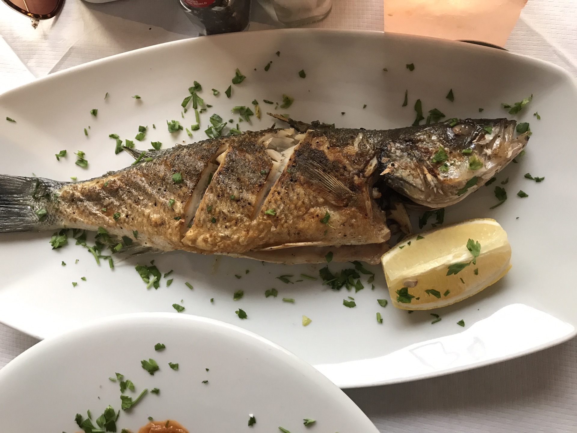 美丽海岛的故事,马耳他旅游攻略