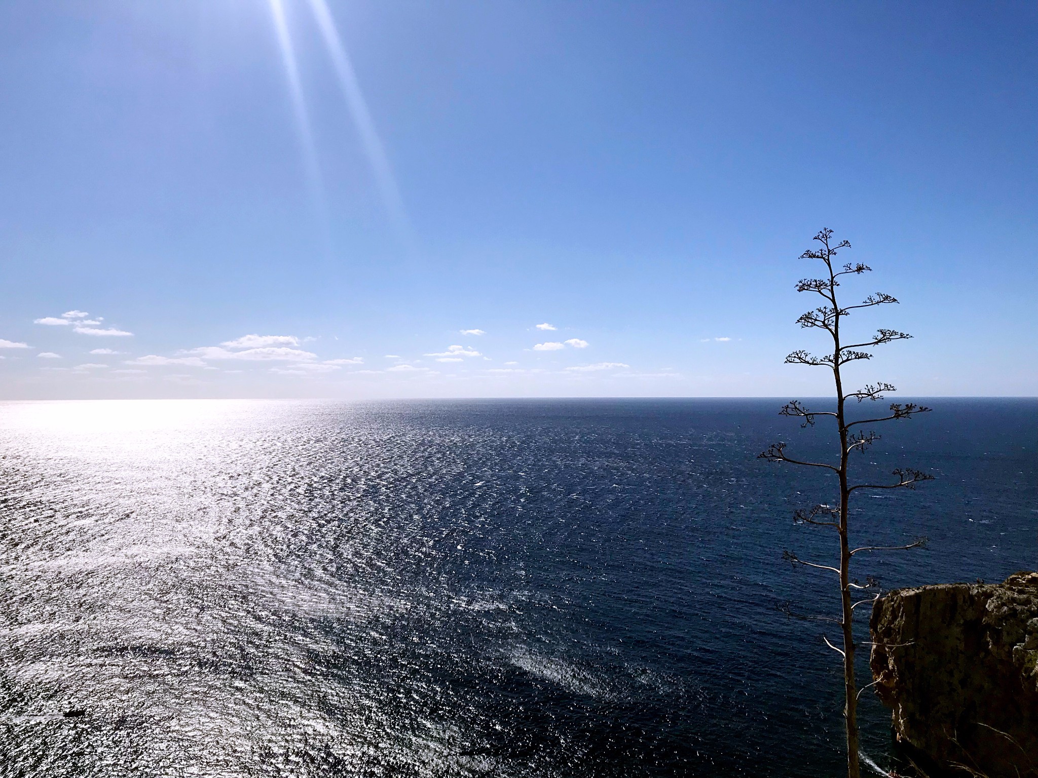 秋天的马耳他,你是欧洲还是北非?,马耳他自助